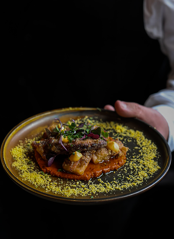 Tapa 5